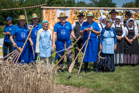 Dobrovnik - 2000 semen - ZETEV 2025-1174657
